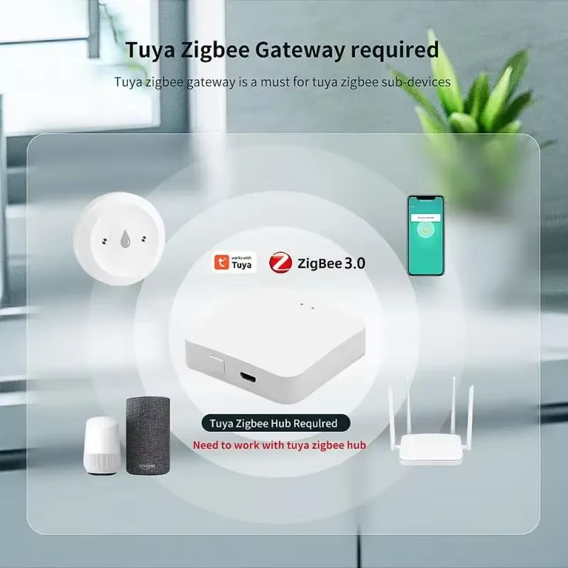 ทูยา ซิกบี 3.0 เครื่องตรวจจับน - Smart Home News บทวิจารณ์และราคา